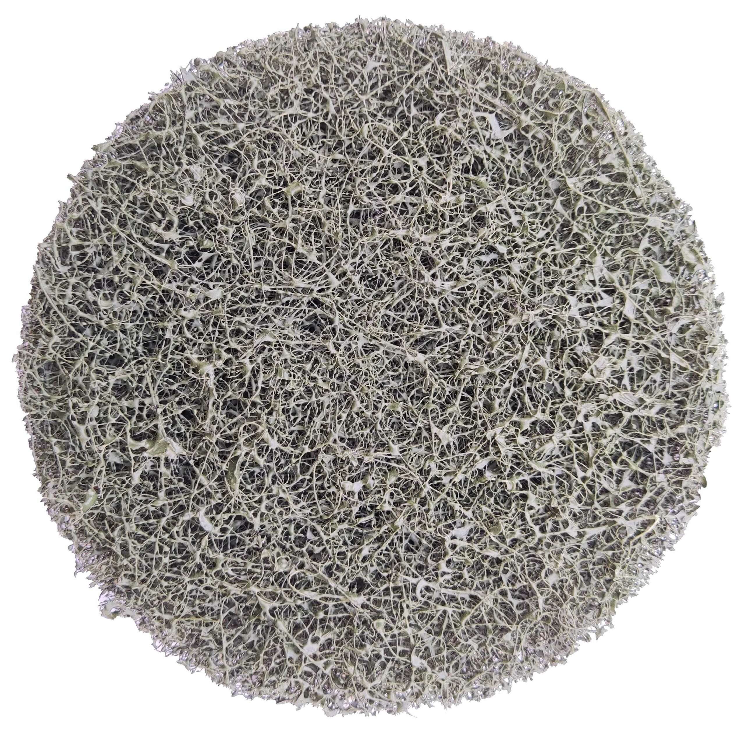 www.diamentowe.net.pl - pad polerski do renowacji podlog betonowych i lastryko 1 scaled 1 Diamentowe narzędzia ścierne Mikrodiamentowe pady do renowacji